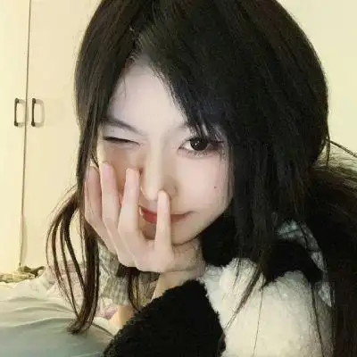SEO专用源码实战指南：揭秘百度排名飙升的核心技术